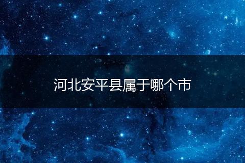 河北安平县属于哪个市