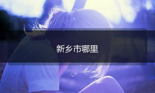 新乡市哪里