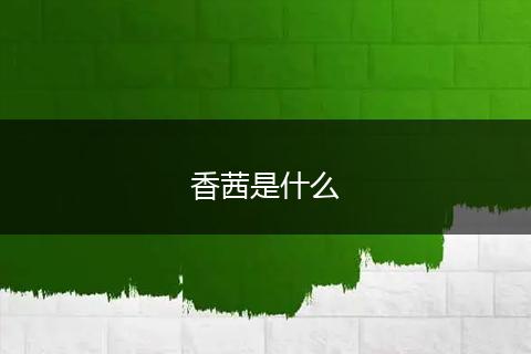 香茜是什么