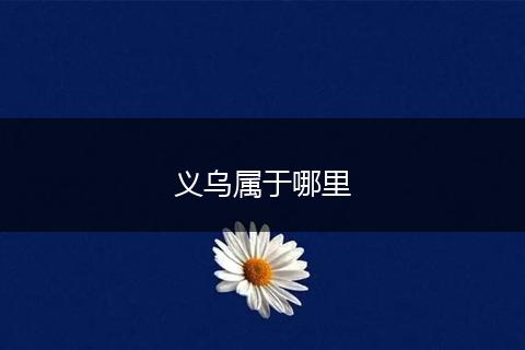 义乌属于哪里