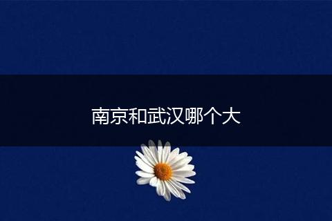 南京和武汉哪个大