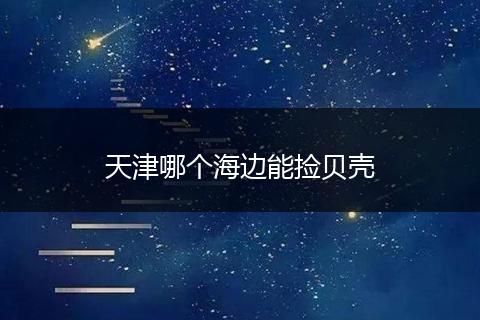 天津哪个海边能捡贝壳