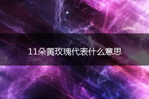 11朵黄玫瑰代表什么意思