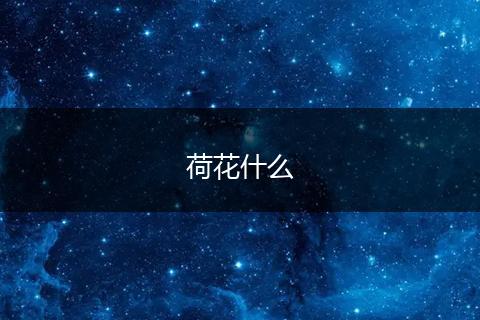荷花什么