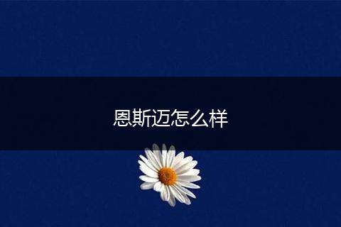 恩斯迈怎么样