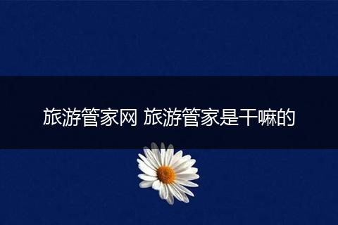 旅游管家网 旅游管家是干嘛的