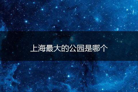 上海最大的公园是哪个