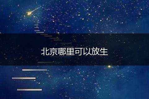 北京哪里可以放生