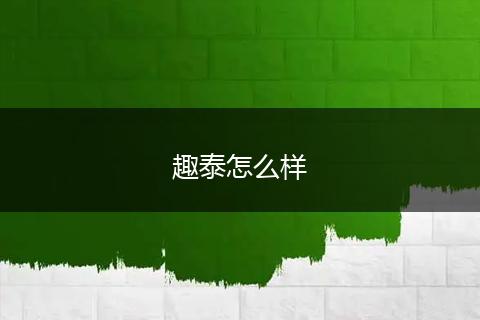 趣泰怎么样