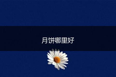 月饼哪里好