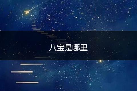 八宝是哪里