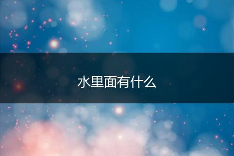 水里面有什么