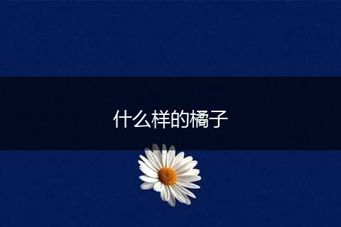 什么样的橘子