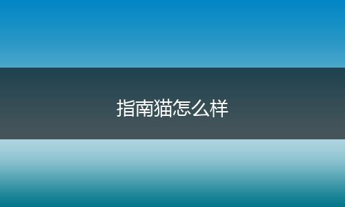 指南猫怎么样
