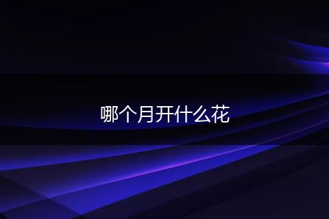 哪个月开什么花