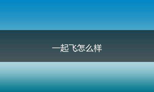 一起飞怎么样