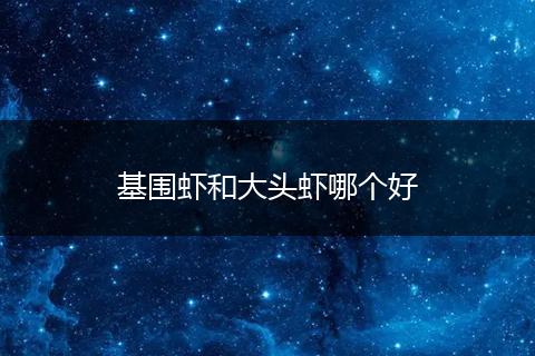 基围虾和大头虾哪个好
