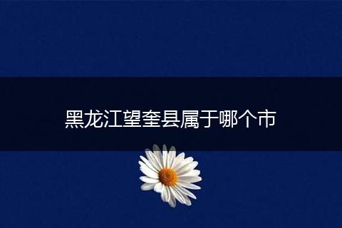 黑龙江望奎县属于哪个市
