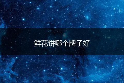鲜花饼哪个牌子好