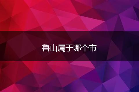 鲁山属于哪个市