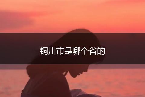 铜川市是哪个省的