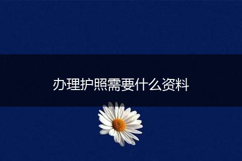 办理护照需要什么资料