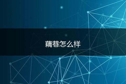 藕巷怎么样