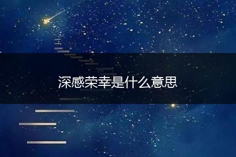 深感荣幸是什么意思
