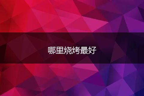 哪里烧烤最好