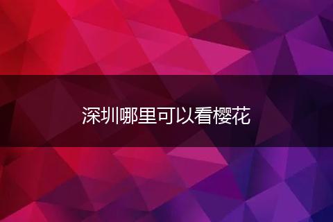 深圳哪里可以看樱花