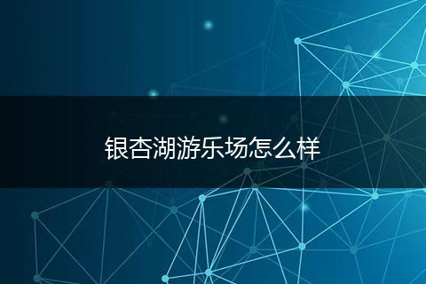 银杏湖游乐场怎么样