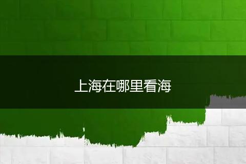 上海在哪里看海