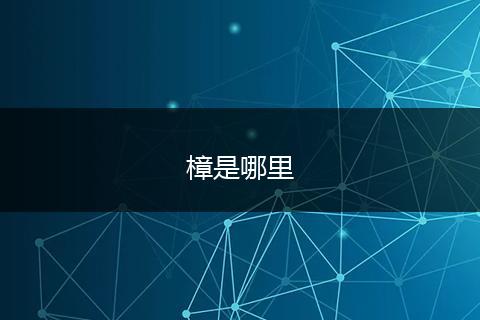 樟是哪里