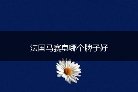 法国马赛皂哪个牌子好