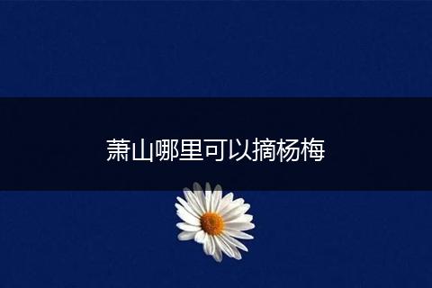 萧山哪里可以摘杨梅