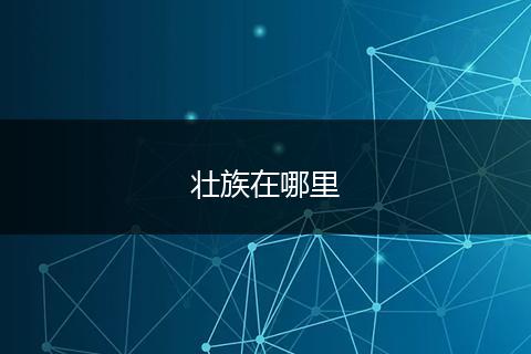 壮族在哪里