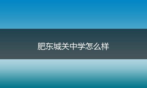 肥东城关中学怎么样