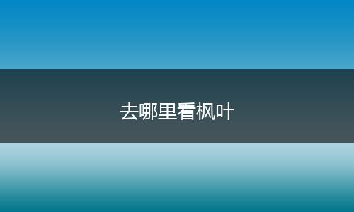 去哪里看枫叶
