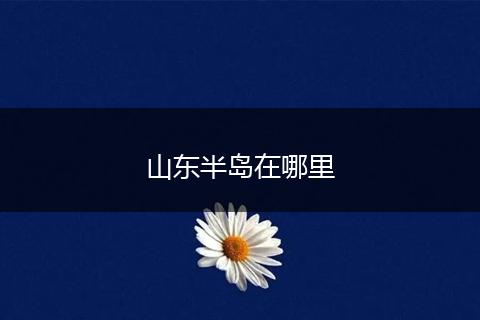 山东半岛在哪里