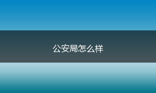 公安局怎么样