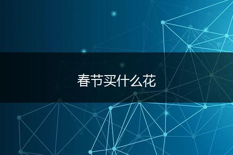 春节买什么花