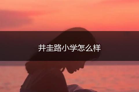 井圭路小学怎么样