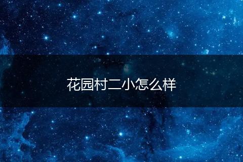 花园村二小怎么样