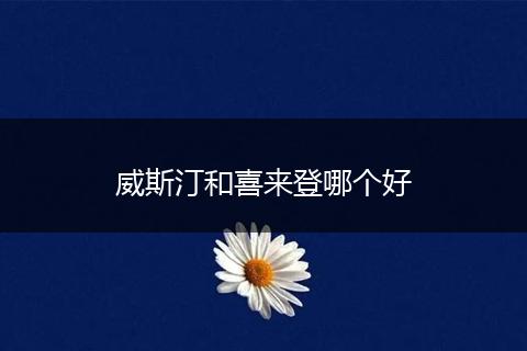 威斯汀和喜来登哪个好