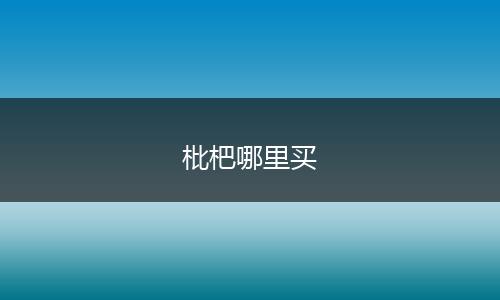 枇杷哪里买