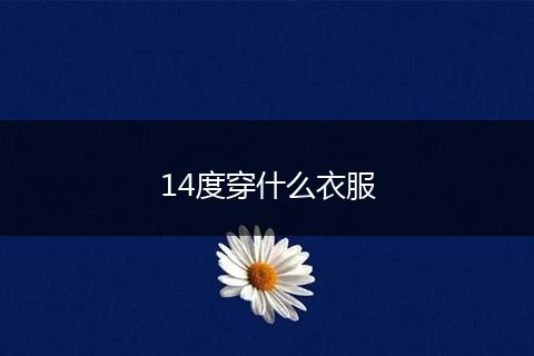 14度穿什么衣服