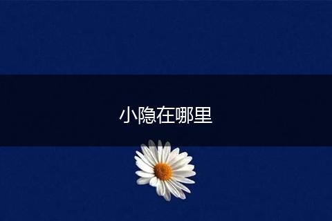 小隐在哪里