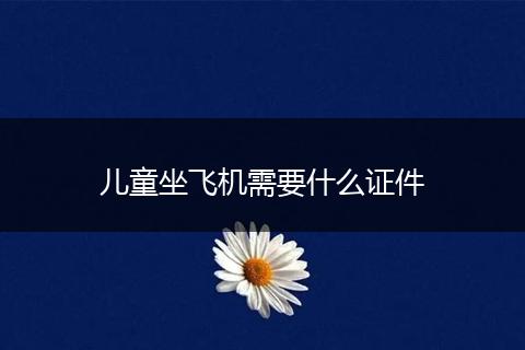 儿童坐飞机需要什么证件