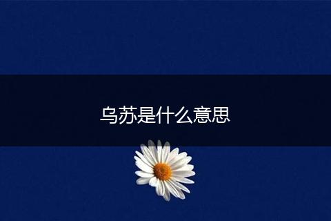 乌苏是什么意思