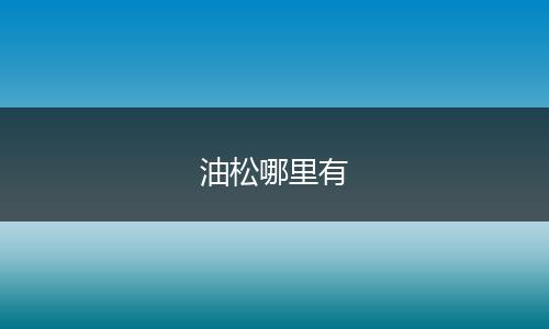 油松哪里有